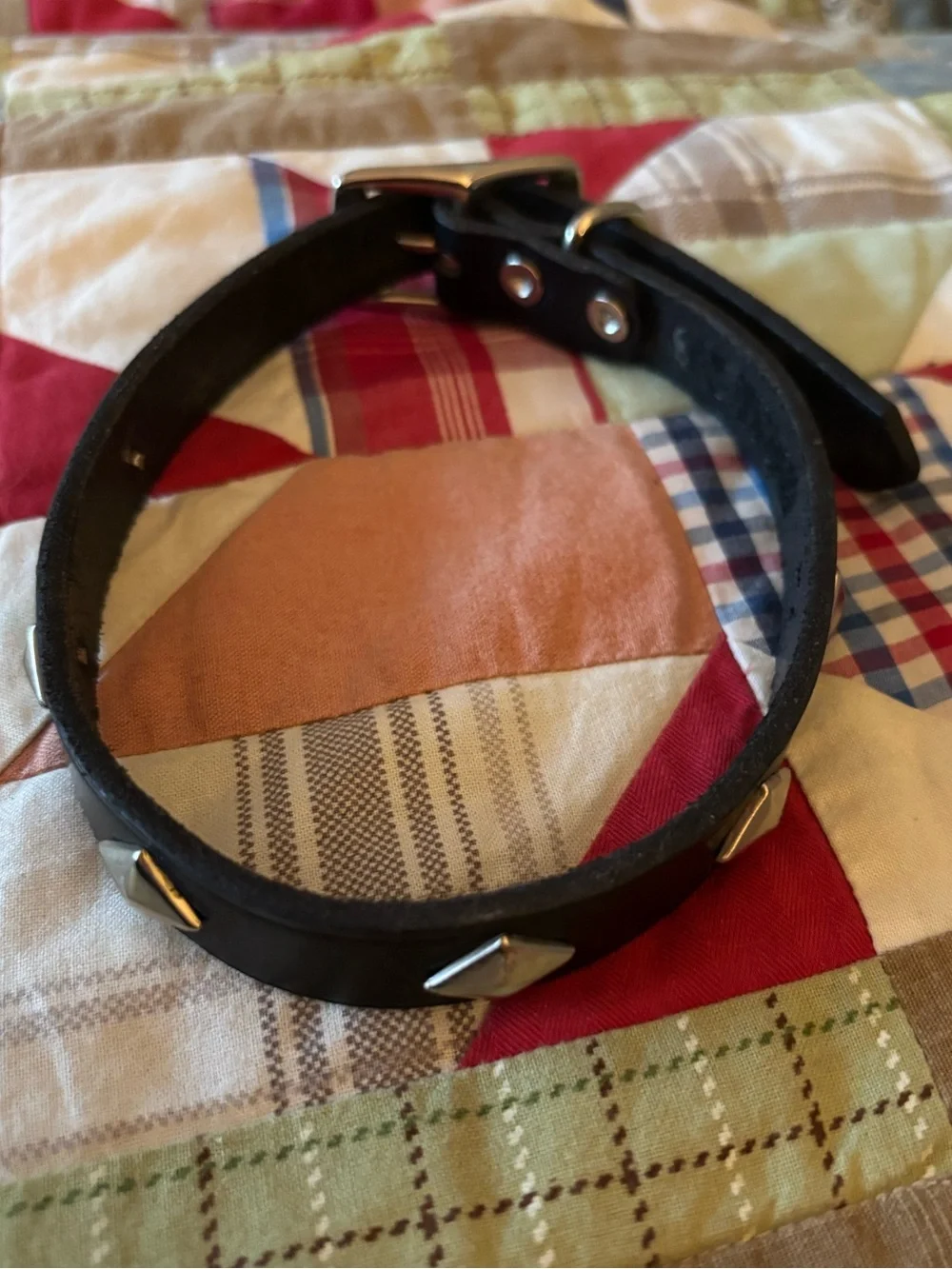 Petco NWOT Black Leather Diamond Studded Dog Collar